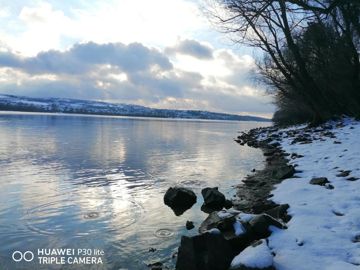 Danube Fairy Villa Futog ภายนอก รูปภาพ