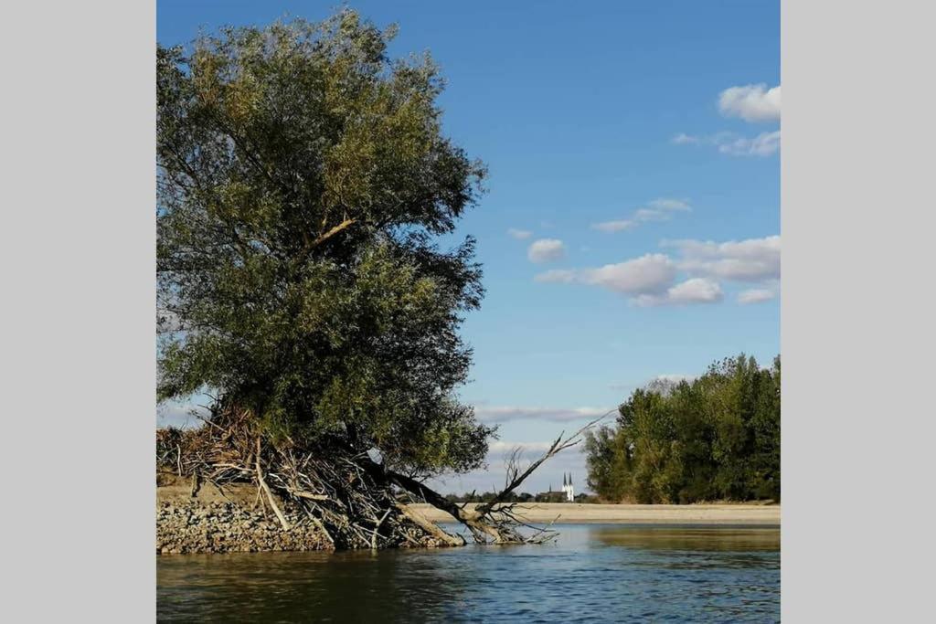 Danube Fairy Villa Futog ภายนอก รูปภาพ